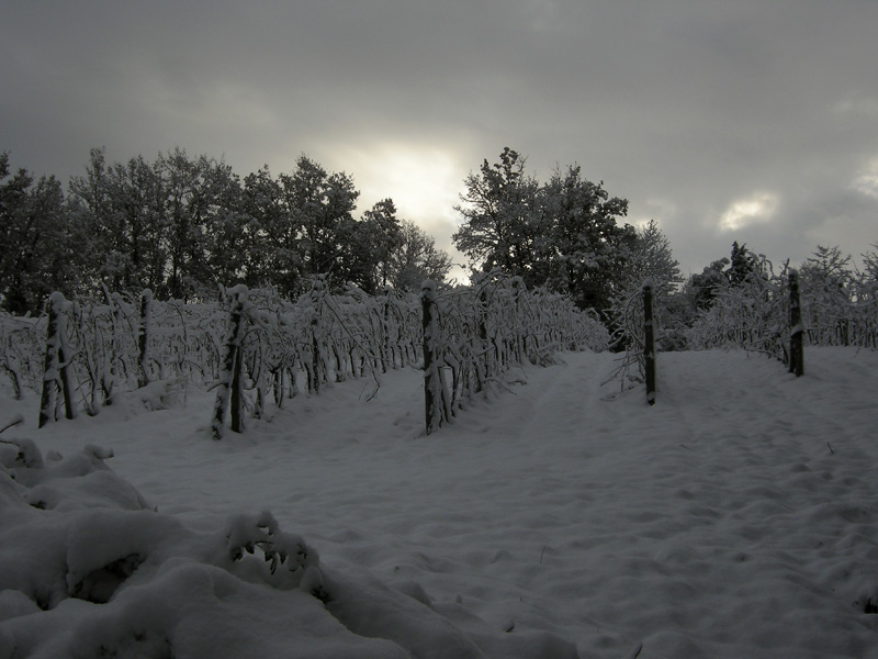 La magica atmosfera del Chianti innevato